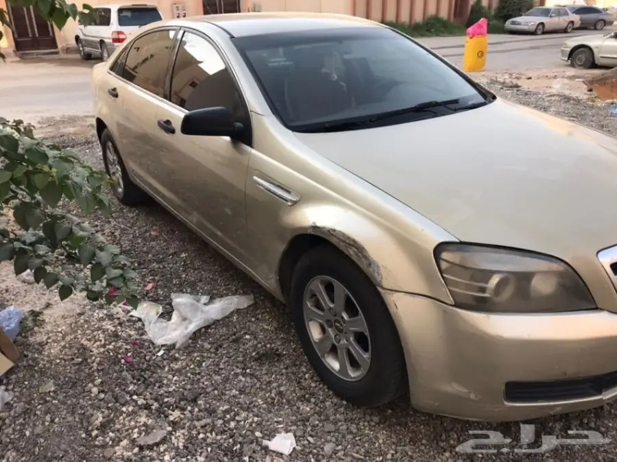 كابرس للبيع والبيع سمح باذن الله  (image 17)