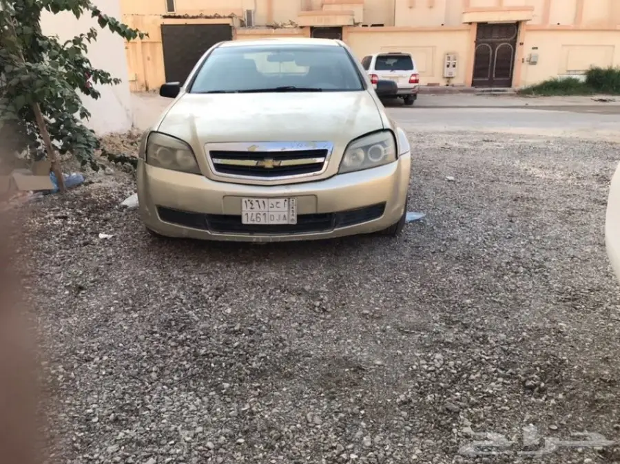 كابرس للبيع والبيع سمح باذن الله  (image 19)