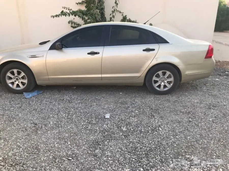 كابرس للبيع والبيع سمح باذن الله  (image 20)