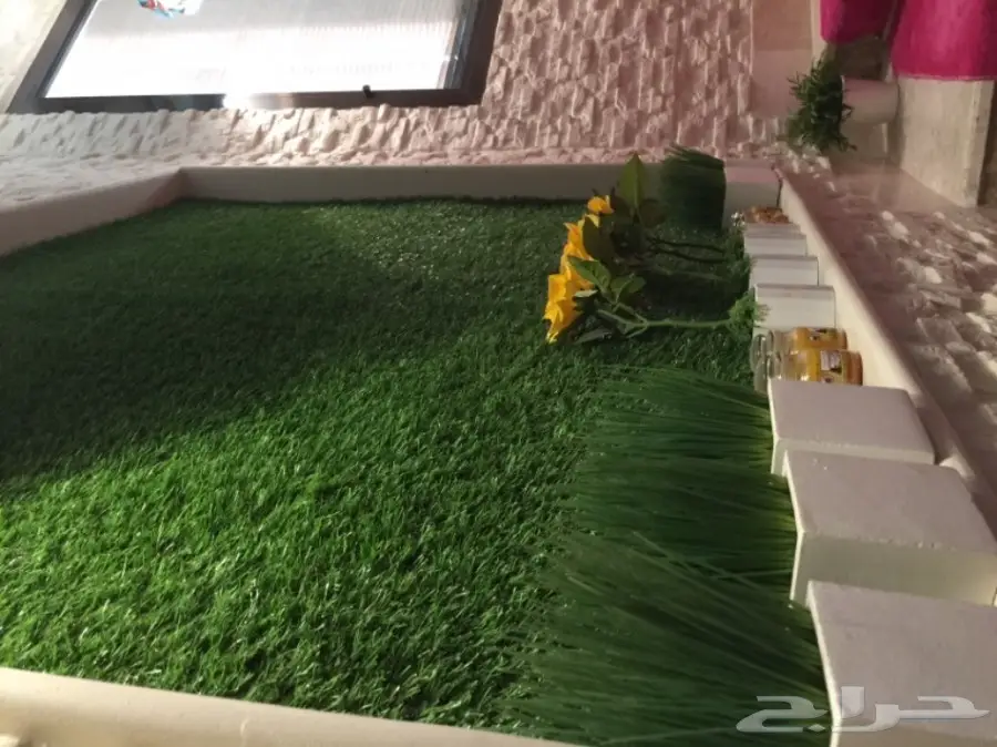 غراس لاند: حلول عشب صناعي مبتكرة! (image 9)