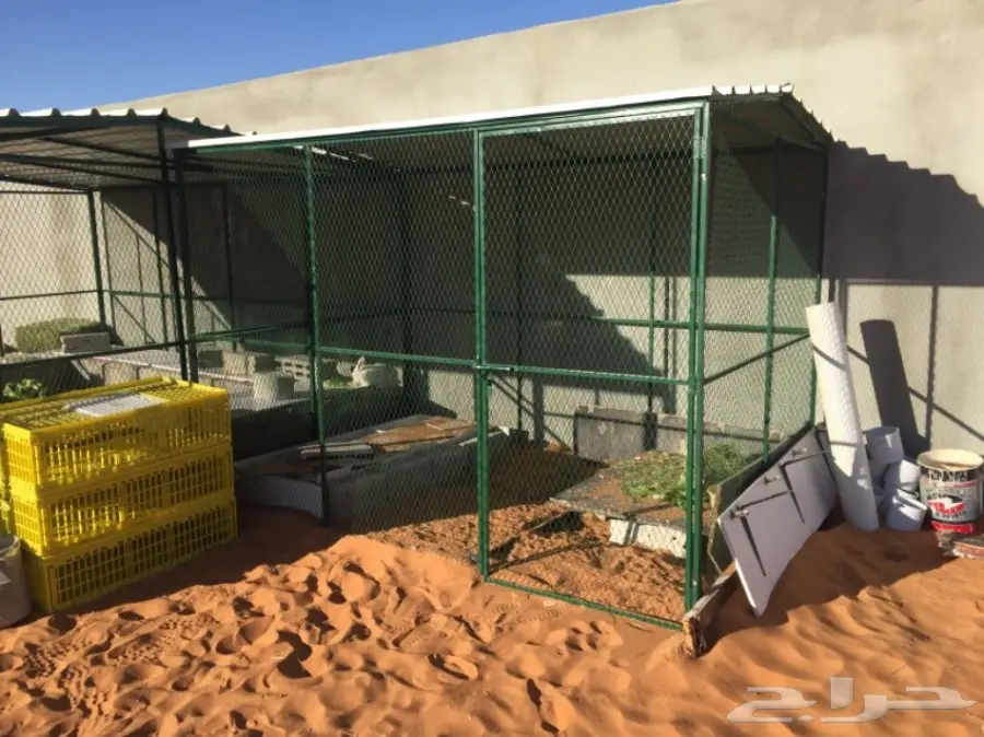 شبك بقلاوه حمام ارانب 