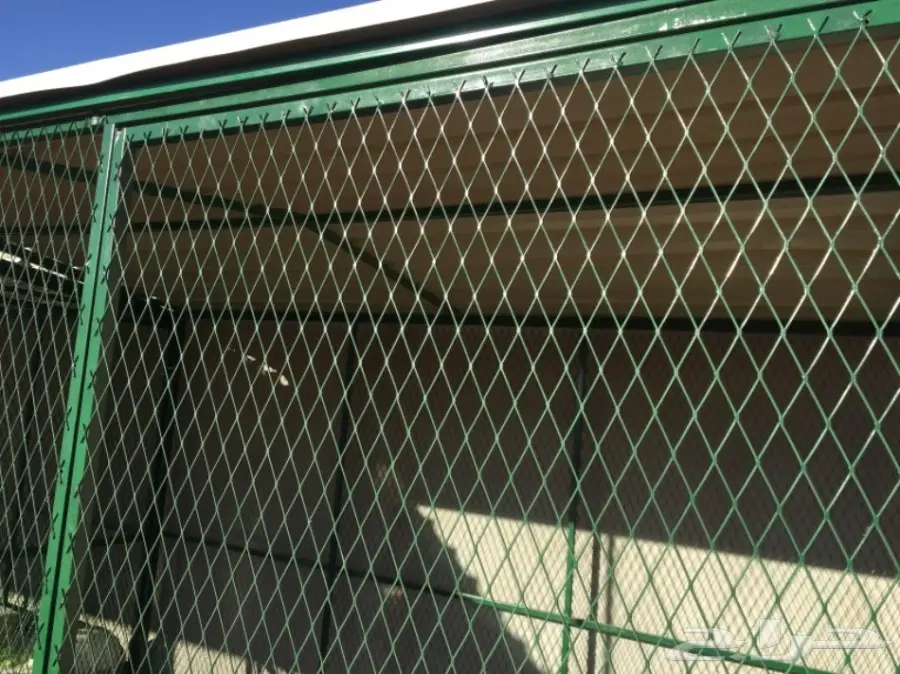 شبك بقلاوه حمام ارانب  (image 1)