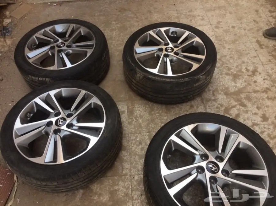 جنوب النترا 2017 (image 1)