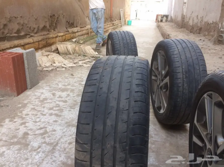 جنوب النترا 2017 (image 5)