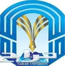 حل مشاركات جامعات طيبة وفيصل والدمام - أسعار مميزة! (image 2)