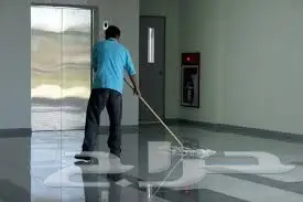 تنظيف شقق فلل منازل مجالس موكيت خزانات مسابح  (image 1)