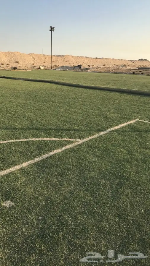 عشب تركي شبه جديد - كمية كبيرة لتغطية مميزة! (image 2)