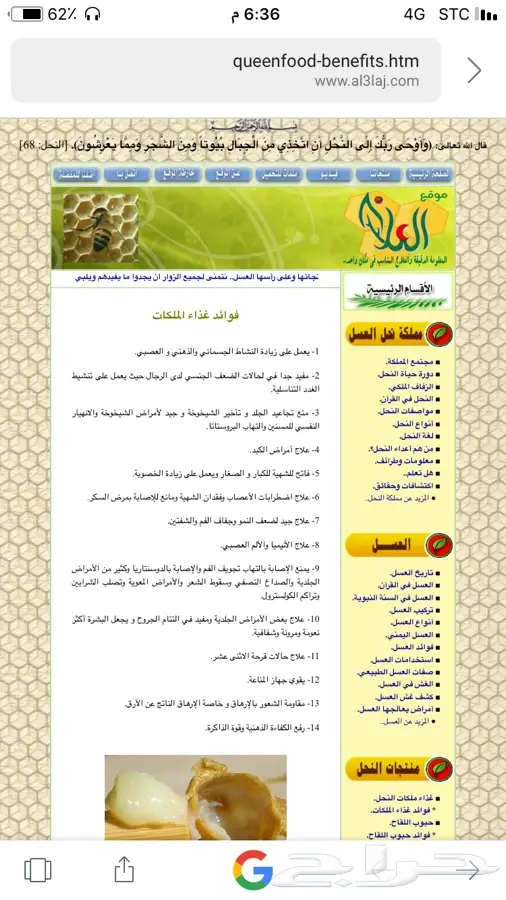 عسل سدر  عسل مجرى غذاء الملكات (image 16)