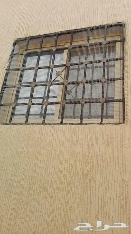 شركة مكافحة حمام طيور تركيب شبك تركيب طارد  (image 1)