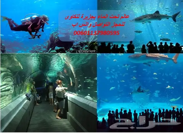 السياحه بماليزيا بكدح عائلى خمس افراد 10 ايام (image 6)