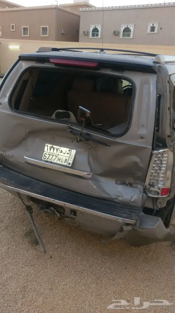 دينالي مصدوم - فرصة ذهبية! (image 1)