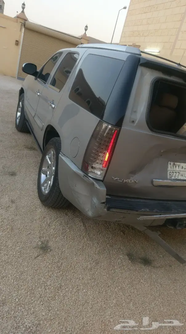 دينالي مصدوم - فرصة ذهبية! (image 2)