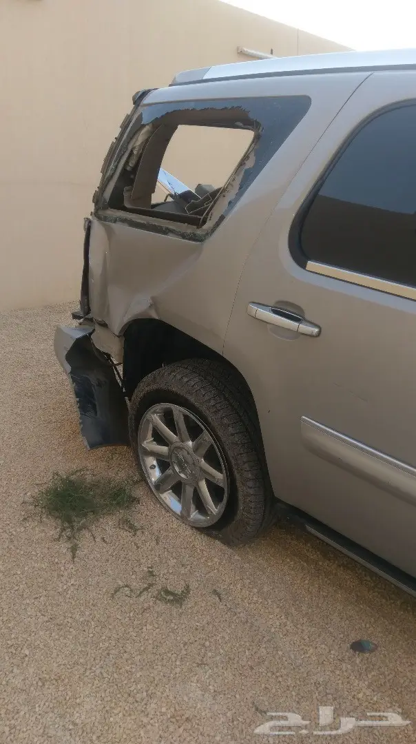 دينالي مصدوم - فرصة ذهبية! (image 3)