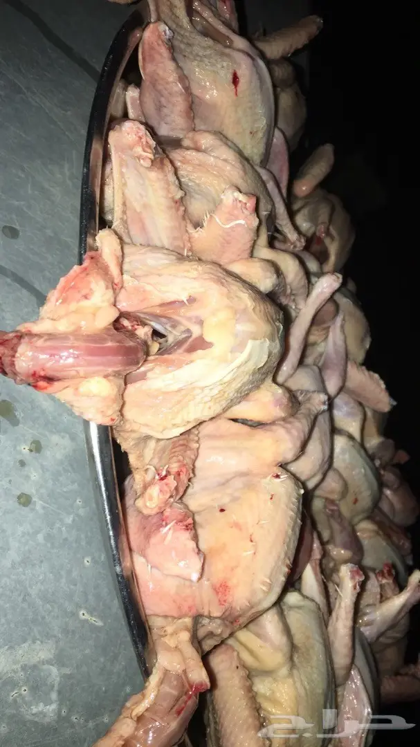 فروخ زغاليل لاحم للاكل  (image 2)