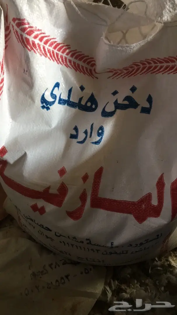 فروخ زغاليل لاحم للاكل  (image 8)