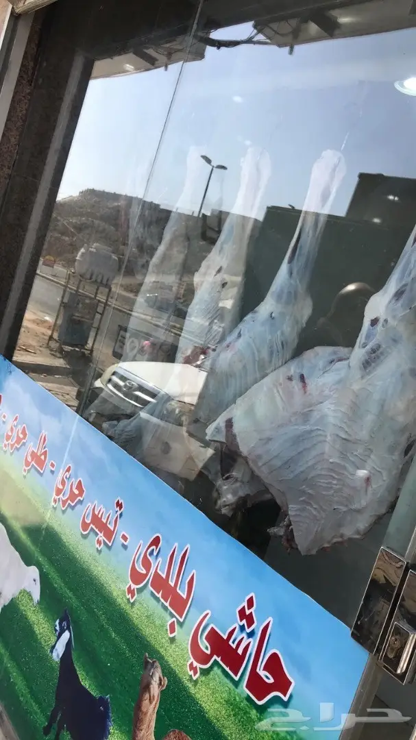 حاشي بلدي أصيل - حاشي الوادي