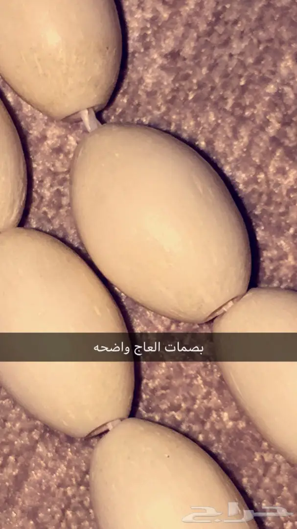 مزاد رقم(59)لمدة4 ساعات سبحه عاج لناس الراقية (image 3)