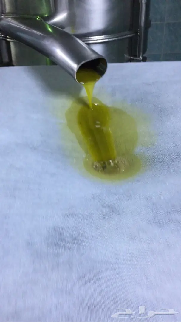 زيت زيتون عصرة اولى على البارد عضوي شرط (image 2)
