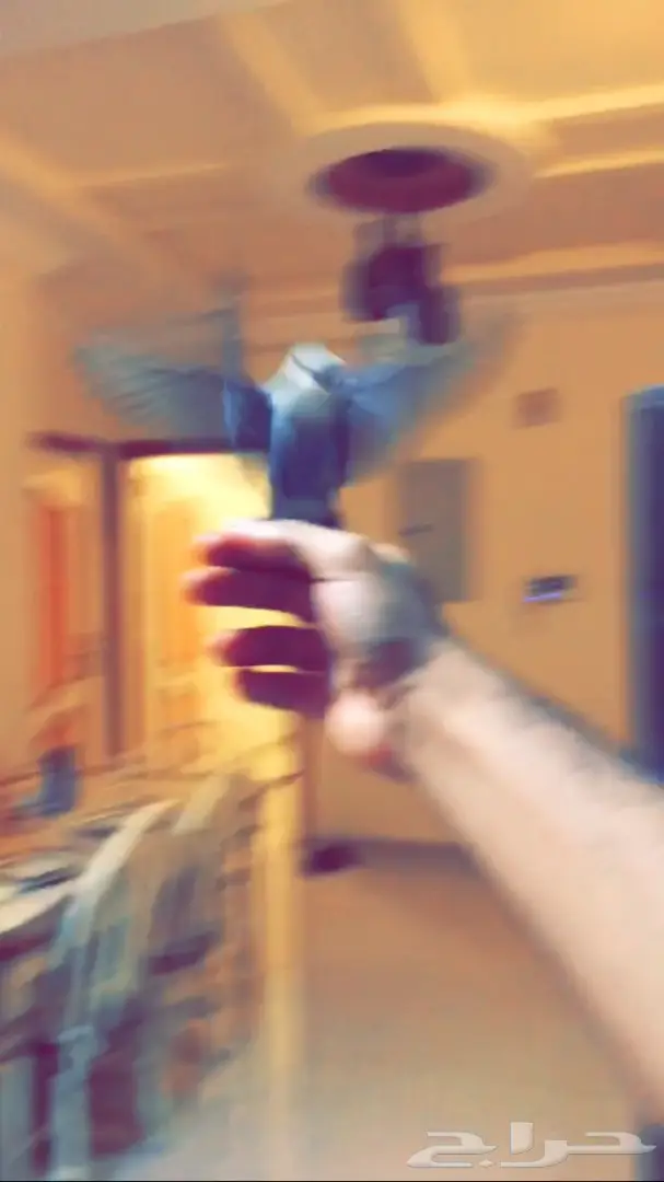 روز اليف جدا وهدد للبيع  (image 2)