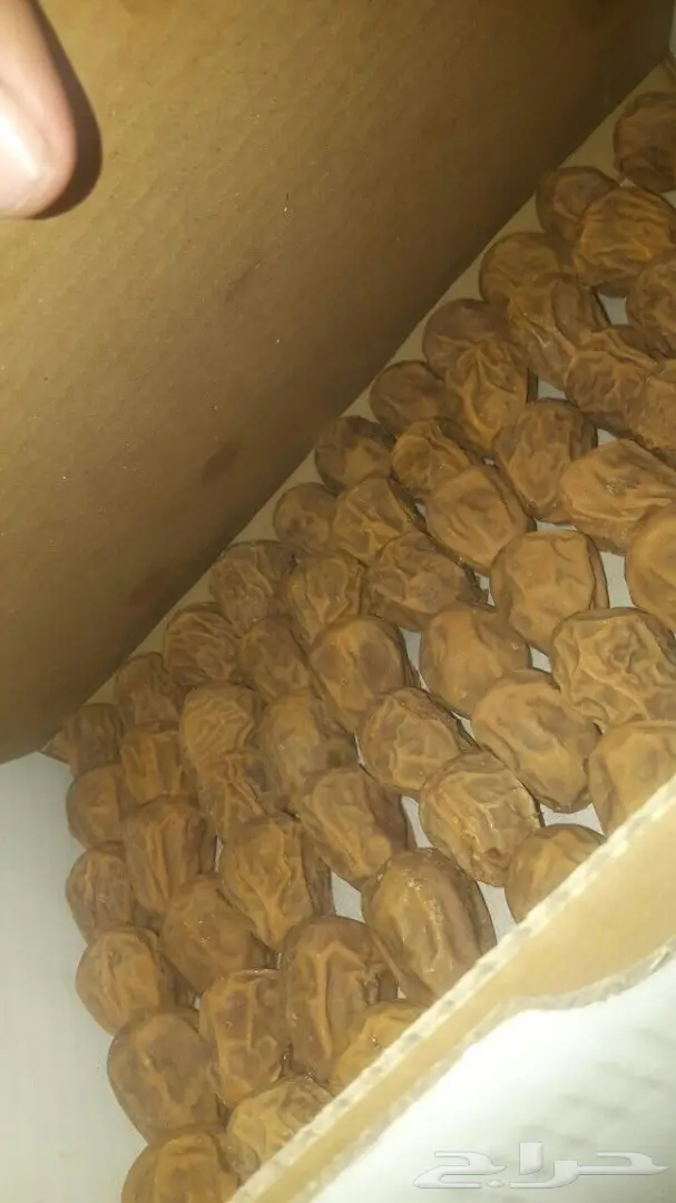 شوكولاته التمر البلجيكية (image 1)