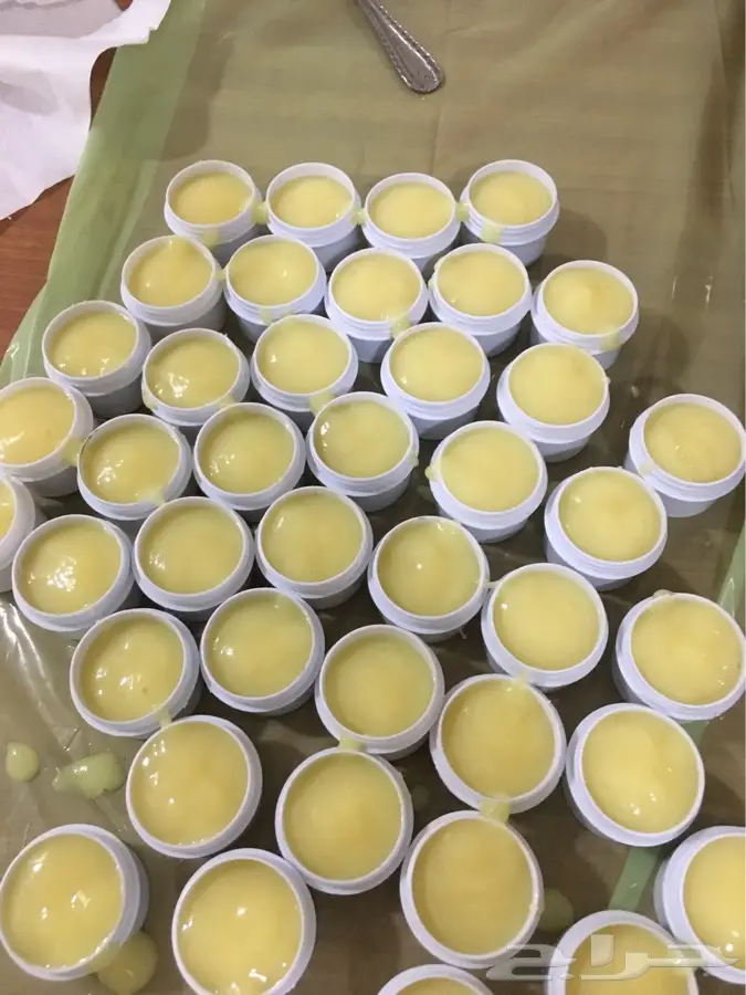 عسل سدر عسل مجرى غذاء الملكات (image 20)