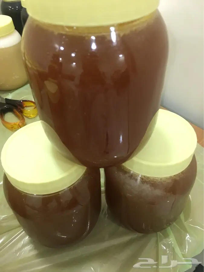 عسل سدر عسل مجرى غذاء الملكات (image 1)