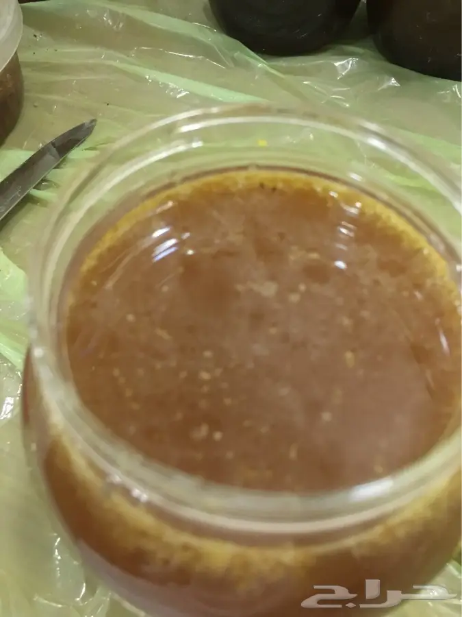عسل سدر عسل مجرى غذاء الملكات (image 4)
