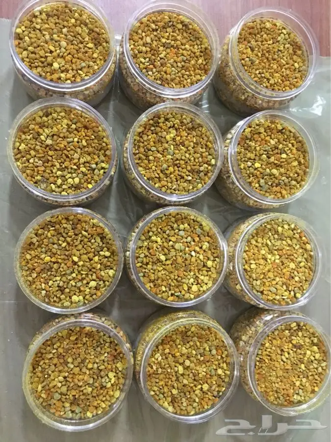 عسل سدر عسل مجرى غذاء الملكات (image 17)