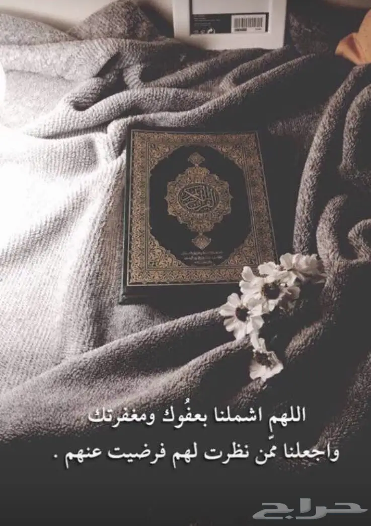 غنم عالي الجودة - فرصة لا تُفوّت!