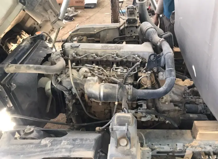 وايت دينا مصدوم (image 5)