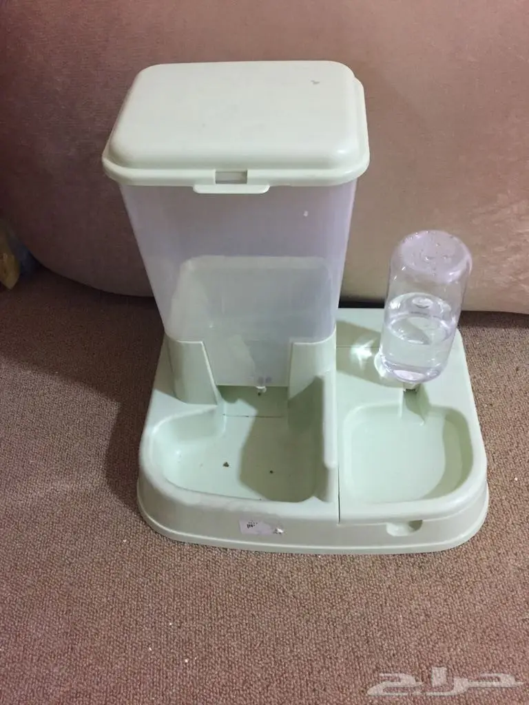 قط ابيض عيون ملونه وليف و مرح (image 3)