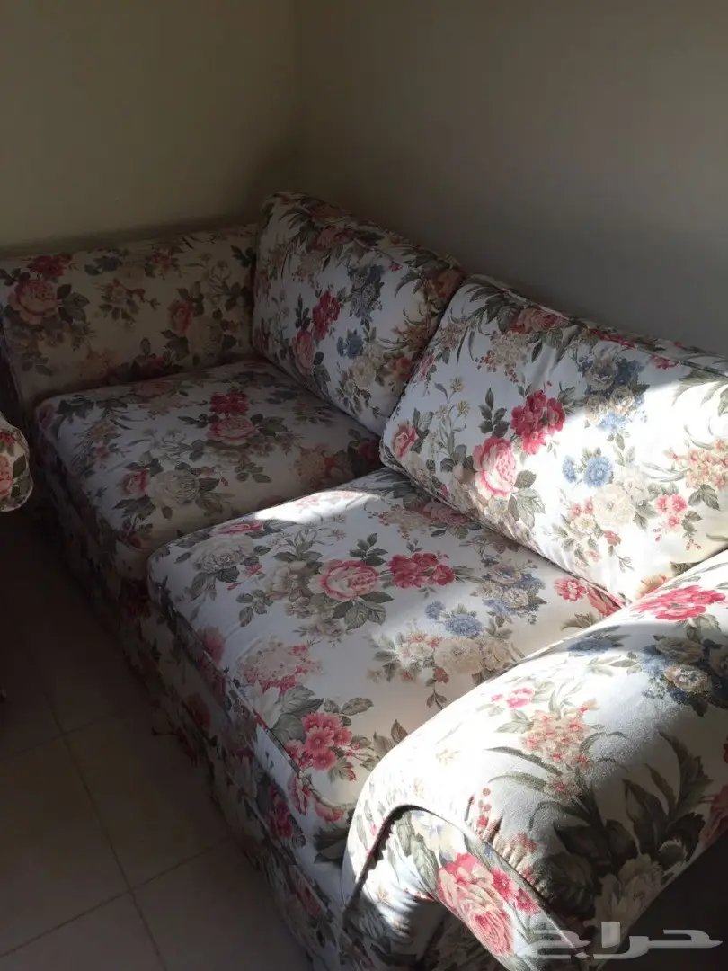 أنترية أمريكي - بحالة ممتازة  (image 2)