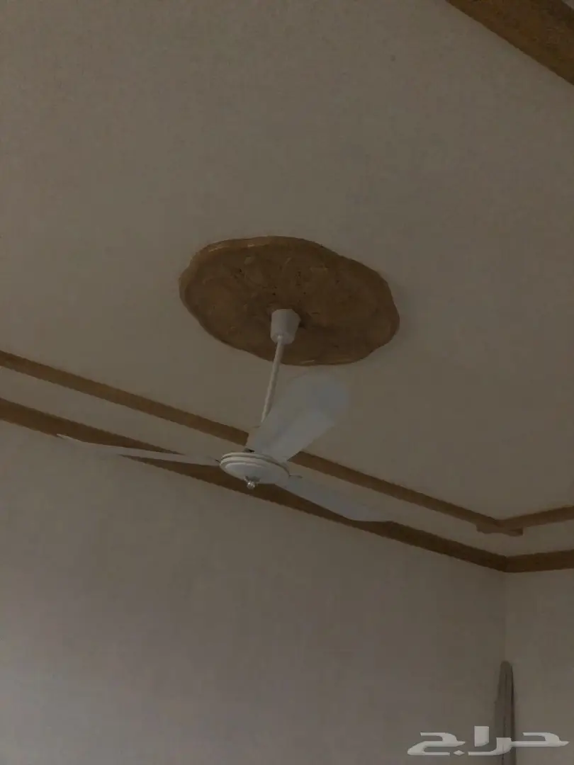للبيع مراوح وابواب (image 2)