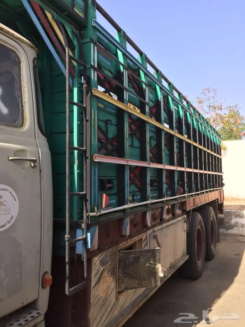 راس مرسدس (image 8)