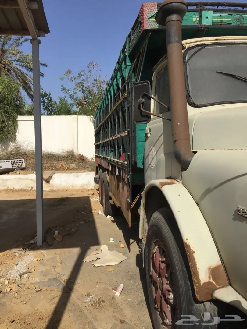 راس مرسدس (image 9)