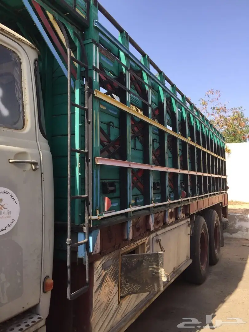 راس مرسدس (image 10)