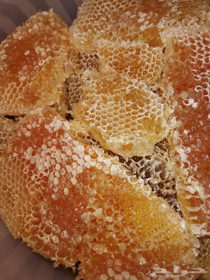 الدهن الكمبودي الجبلي دهن المميزين والنخبه  3