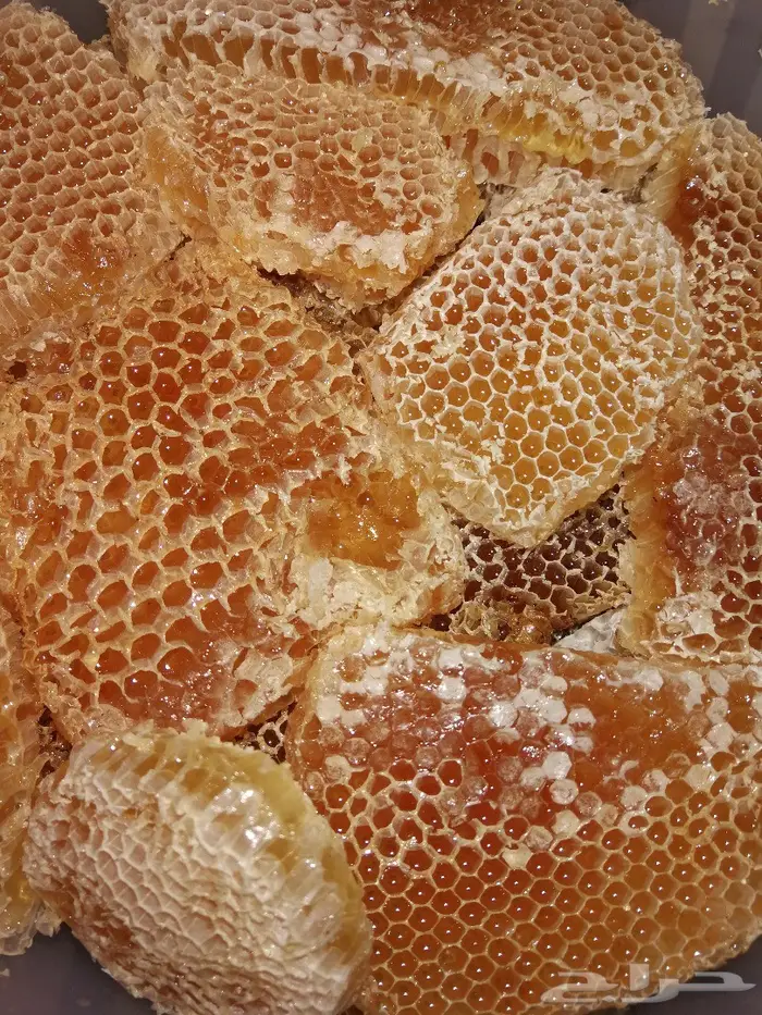 الدهن الكمبودي الجبلي دهن المميزين والنخبه  12