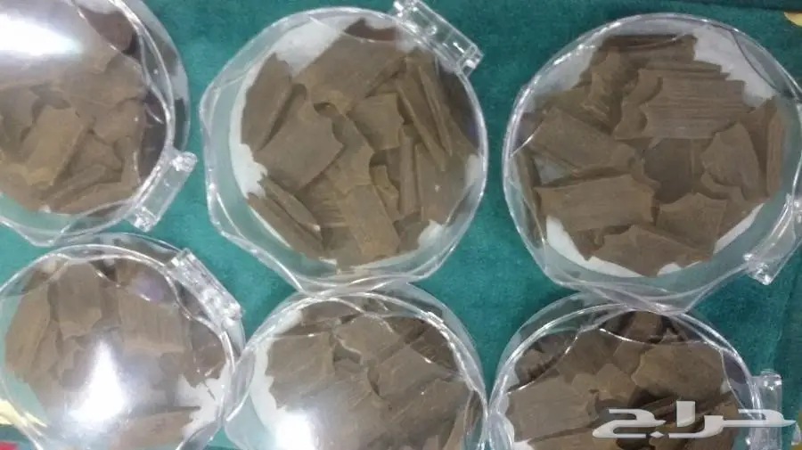 عود طلبيه من الرياض مضمون (image 1)