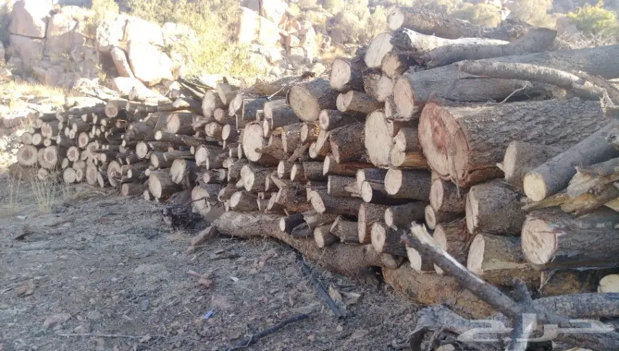 حطب للبيع (image 1)