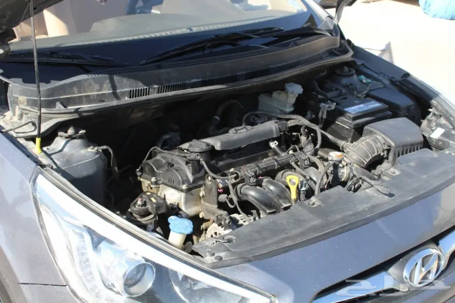 أكسنت 2014  (image 26)