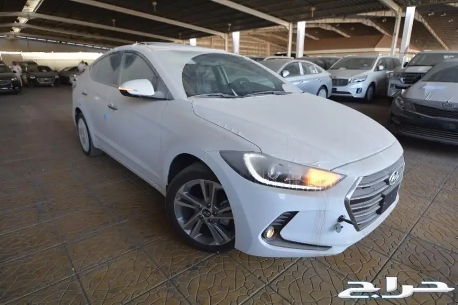 النترا 2018 - جميع الفيئات المجدوعي والوعلان - فرصة لا تُفوت!