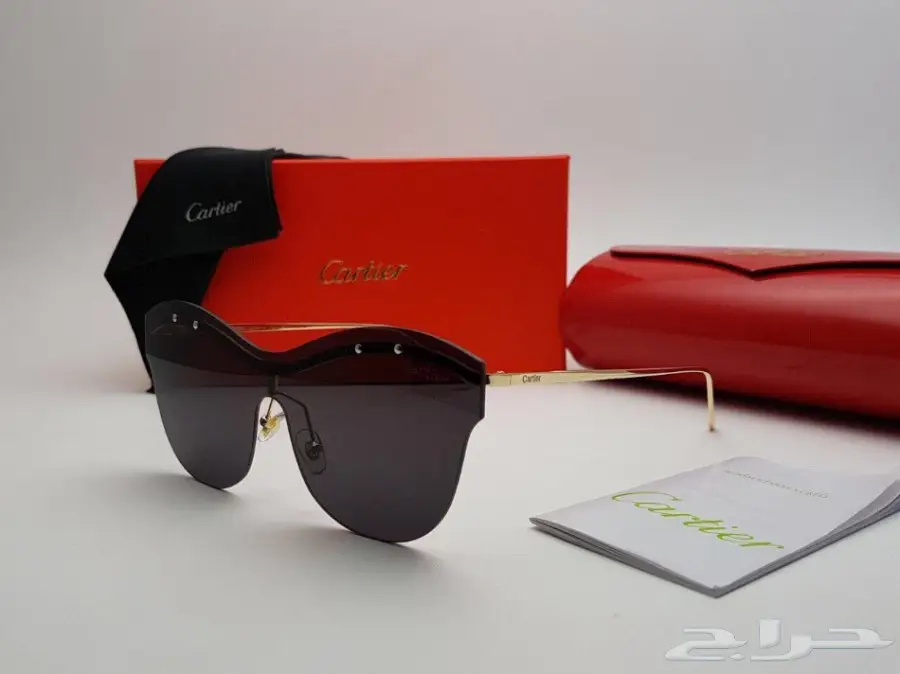 نظارات شمسية وبراويز طبية - تشكيلة واسعة للرجال والنساء (image 270)