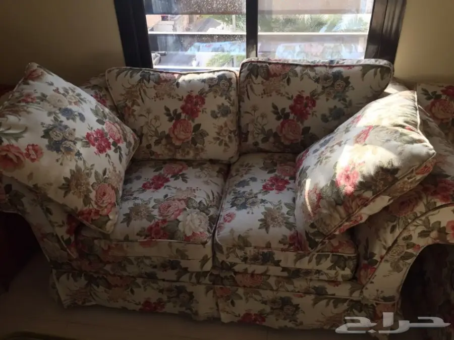 أنترية أمريكي - بحالة ممتازة 