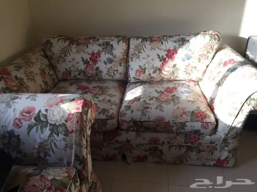 أنترية أمريكي - بحالة ممتازة  (image 1)