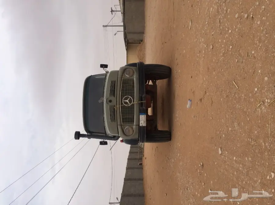 وايت سقس خياره 79 (image 1)