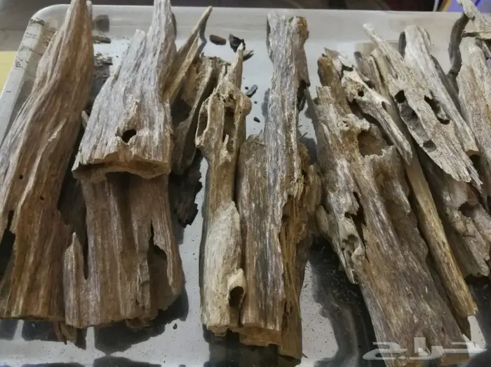 الدهن الكمبودي الجبلي دهن المميزين والنخبه  4