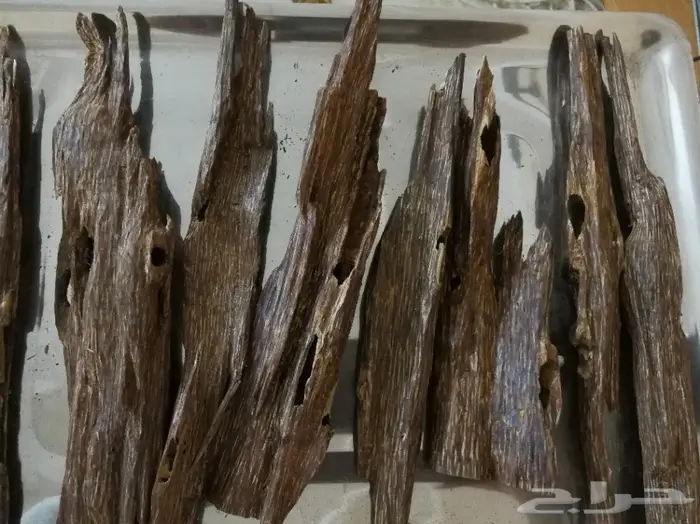 الدهن الكمبودي الجبلي دهن المميزين والنخبه  5