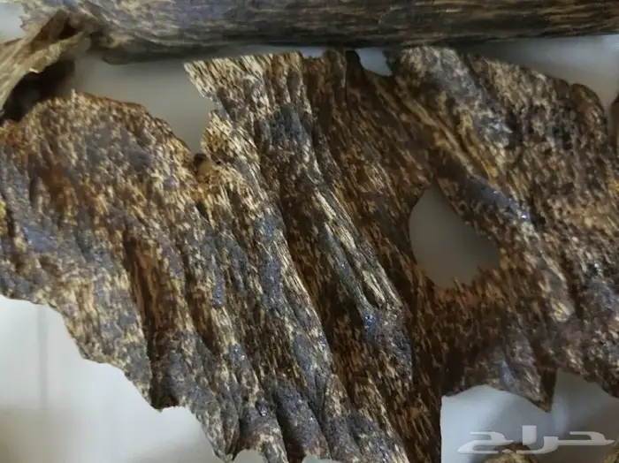 الدهن الكمبودي الجبلي دهن المميزين والنخبه  7