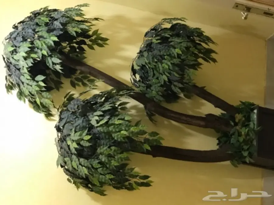 للبيع أثاث مستعمل  (image 6)